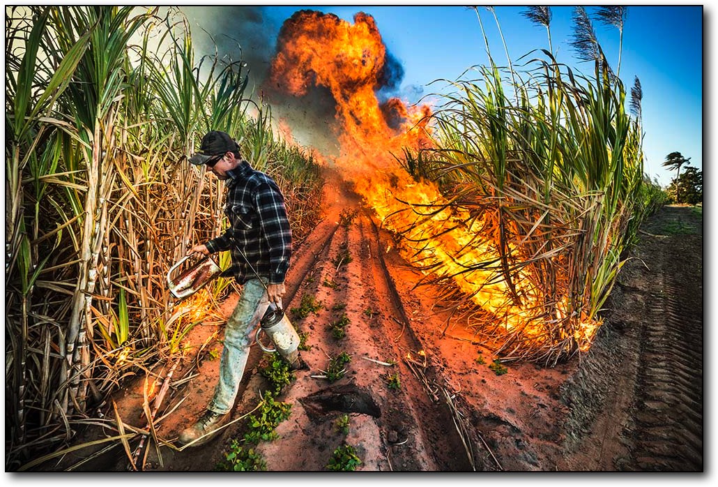 Bundaberg Photographer Paul Beute image of Cane Fire